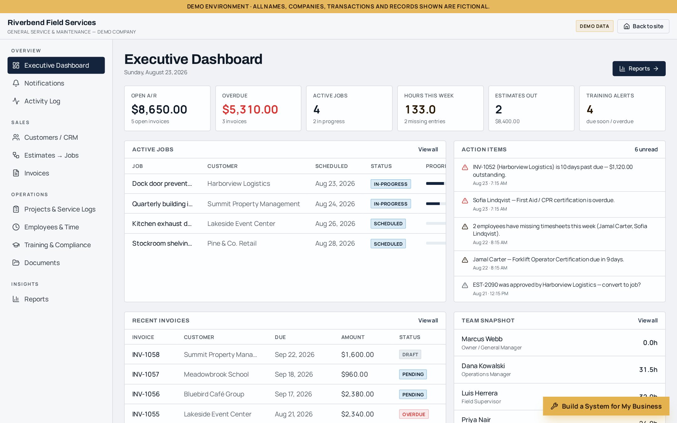 Live demo — executive dashboard of a custom business software system